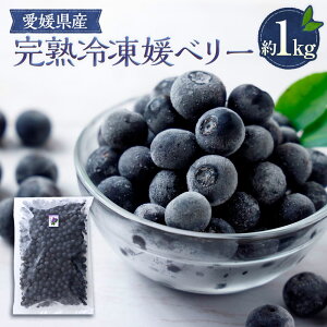 yӂ邳Ɣ[Łzn Ⓚ Qx[ 1kg u[x[ x[ t[c ʕ Ⓚt[c  fU[g AW X[W[ W[X [Og W Y Q Q i