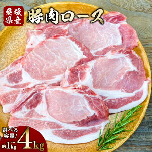 yӂ邳Ɣ[ŁzyIׂeʁzؓ [X 1pbN2qIׂr1kg / 1.5kg / 2kg / 3kg / 4kg  2pbN 3pbN 4pbN 6pbN 8pbN     Ⓚ QY Y  (7