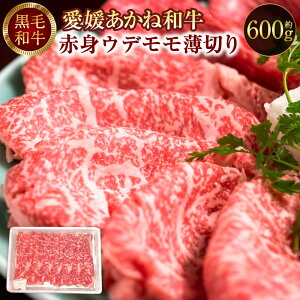 yӂ邳Ɣ[ŁzQ˘a ԐgEf؂ ( Ă Ԃԗp ) 600g   a Ԑg Ef   uh ˘a ؂ QY ① Q 