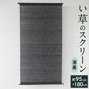 yӂ邳Ɣ[Łz  XN[ n 95×180cm  d؂ Ǌ|  F VRf { Y CeA a Q (145) yVX[p[SALE 9J