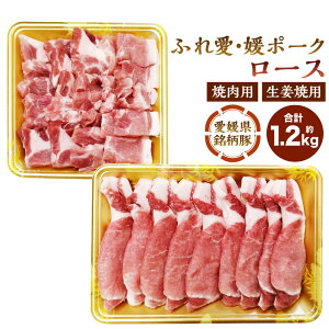 yӂ邳Ɣ[ŁzӂꈤEQ|[N [X ē Iėp Zbg v 1.2kg e600g ؓ Ԃɂ   Q  Ⓚ QY Y  (84)