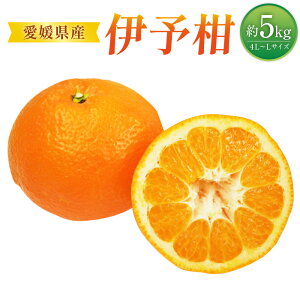 yӂ邳Ɣ[Łzɗ\ 4L`LTCY 5kg ݂ ~J  k t[c ʕ ʕ  Fa  fU[g  퉷 y2026N1{`2026N2{\z(520)