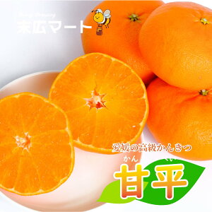 yӂ邳Ɣ[Łz y2026N1{돇z Õ ؂  3kg | k ݂  ~J Q  IWi k uh  x