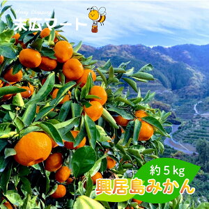 yӂ邳Ɣ[Łzy11{납珇z ݂ 5kg | ݂ ~J  k  ݂ t[c ʕ Q Rs 