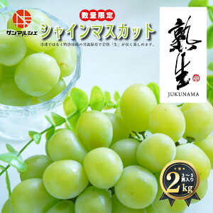 yӂ邳Ɣ[Łz T}VF y100znVC}XJbg 2kg (3~5[) Gȏ ① QY R ɑ