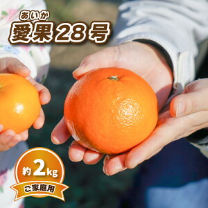 yӂ邳Ɣ[Łz ys\z݂ y2025N12{\z 28 (ƒp) 2kg | \̔ ݂ k  \  ݂ Q Rs