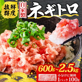 【ふるさと納税】 発送時期 / 容量が選べる ネギトロ 600g/800g/1.2kg/1.8kg/2.5kg (1パック 100g ) 小分け | ねぎとろ マグロ 鮪 まぐろたたき ねぎまぐろ 粗びき 魚介 小分け 個包装 冷凍 簡単調理 グルメ 人気 おすすめ 高評価 送料無料 お取り寄せ ギフト 愛媛県 松山市