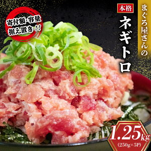 yӂ邳Ɣ[Łz lMg v 1.25kg 250g × 5pbN ܂  ܂낽 Ln_}O o`}O      CN VN 芪 i    ͂ Ⓚ 