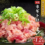  【発送時期が選べる】 ネギトロ 600g~1.2kg (100g × 6パックor12パック ) 小分けパック | 年内発送 ねぎとろ まぐろ 鮪 まぐろたたき 小分け 個包装 魚 さかな 魚介 海鮮 新鮮 手巻き 寿司 すし 冷凍 人気 おすすめ 送料無料 5,000円以下 愛媛県 松山市