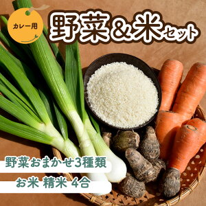 yӂ邳Ɣ[Łz J[p ؁ Zbgi4{3ށj s\ _sgp R͔|    ʂ˂ lQ ܂ Y J[ J[CX Ԍ ƒp  
