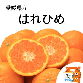 【ふるさと納税】 【2026年12月下旬頃から順次発送】はれひめ 約2.5kg 愛媛県産 柑橘 みかん サイズおまかせ 万田酵素 MARUTAMA果樹園 玉井農園 愛媛県 松山市
