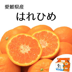 yӂ邳Ɣ[Łz ys\zy2025N12{z͂Ђ 2.5kg QY k ݂ TCY܂ cyf MARUTAMAʎ ʈ_ Q Rs