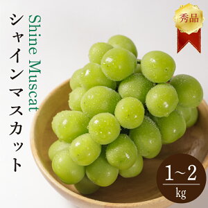 yӂ邳Ɣ[Łz yzVC}XJbg 1kg ܂ 2kg Gi VC}XJbg }XJbg ܂ Ԃǂ uhE  햳 ʕ  t[c { Ԍ Q 