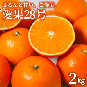 yӂ邳Ɣ[Łz ys\zy2025N11{z 28 2kg 28 ݂  28  28 g}hi g܂ǂ Ɠi  ACJ k ʕ  