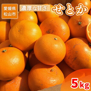 yӂ邳Ɣ[Łz y2026N2{甭z ƒp Ƃ 2.5kg ܂ 5 kg | 󂠂   ʕ Â t[c ݂ ~J IW k Hׂĉ Yi Q R