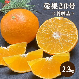 【ふるさと納税】 【12月より発送】 特級品 愛果28号 2.3kg | みかん 柑橘 愛果28号 みかん あいか 果物 フルーツ 松山市 愛媛県 田村農園