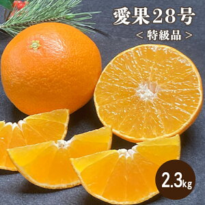 yӂ邳Ɣ[Łz y12蔭z i 28 2.3kg | 12 g܂ǂ Ɠl ݂ k 28  ʕ t[c Rs Q c_ k  t[c  