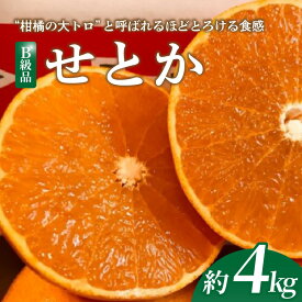 【ふるさと納税】 【2027年2月上旬頃から順次発送】 せとか 4kg 【B級品】 | みかん 愛媛 柑橘 果物 くだもの フルーツ お楽しみ お取り寄せ グルメ 期間限定 数量限定 愛媛3大柑橘 ( 紅まどんな せとか 甘平 ) のひとつ 人気 おすすめ ギフト 愛媛県 松山市
