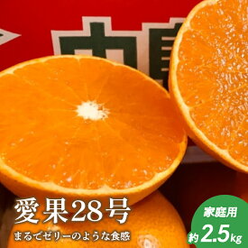 【ふるさと納税】 愛果28号〈家庭用 約2.5 kg〉先行予約｜12月上旬より発送｜紅まどんな同品種 高糖度みかん フルーツ ギフト 数量限定 愛媛県 松山市 田村農園
