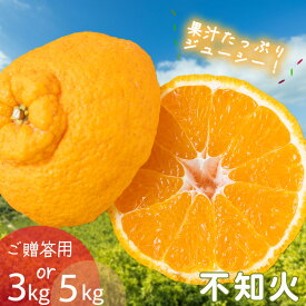 【ふるさと納税】 【2027年2月下旬頃から順次発送】不知火（しらぬい）約3kgから約5kg ご贈答用でこぽんと同品種 柑橘類 先行 果物 フルーツ みかん シラヌイ みかん 果物 くだもの フルーツ おすすめ 高級 人気 グルメ ギフト 期間限定 数量限定 ご当地 愛媛県 松山市