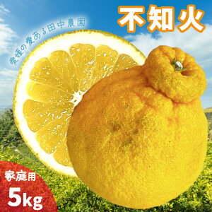 yӂ邳Ɣ[Łz sm ʂ 5kg ƒp y2{珇z łۂƓi k s\ t[c k s\ ʕ t[c ݂ VkC lC  Q 