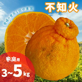 【ふるさと納税】 【2027年2月下旬頃から順次発送】不知火 しらぬい 約 3 / 5kg 家庭用 でこぽんと同品種 柑橘類フルーツ 柑橘類 果物 フルーツ みかん シラヌイ 人気 おすすめ 愛媛 松山 田中農園