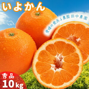 yӂ邳Ɣ[Łz ɗ\ 10kg Gi y1{珇zi ɗ\ 悩 10kg k s\ t[c k s\ ʕ t[c ݂ CJ {ɗ\ lC 