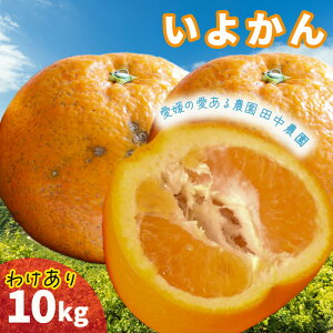 yӂ邳Ɣ[Łz ɗ\ 10kg 󂠂y1{珇zi ݂ ~J  A PA 킯 CJ {ɗ\ 悩 k s\ ʕ t[c W[V[ 