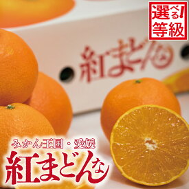 【ふるさと納税】 【順次発送中】紅まどんな 青秀 〇等級 L玉～5L玉 化粧箱 高級 柑橘 愛果28号 あいか みかん ミカン mikan フルーツ 個包装 果物 くだもの 人気 おすすめ 贈答 ギフト お歳暮 愛媛県 松山市 送料無料