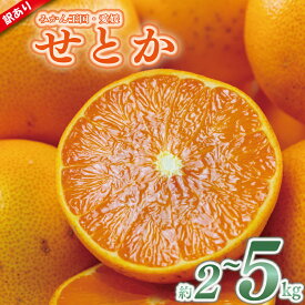 【ふるさと納税】 【順次発送中】 せとか 訳あり みかん 約2kg / 約5kg | 家庭用 せとか セトカ 訳あり みかん 訳あり柑橘 柑橘 ふるさと納税せとか フルーツ 果物 くだもの デザート 果実 青果 国産 産地直送 送料無料 愛媛県 松山市