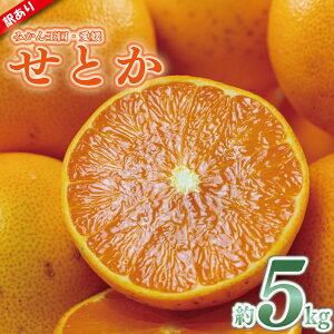 yӂ邳Ɣ[Łz 󂠂 ݂ Ƃ 2kg ܂ 5kg | ƒp Ƃ ZgJ 󂠂 ݂ 󂠂芹k k t[c ʕ  fU[g ʎ  Y Yn R Q