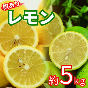 yӂ邳Ɣ[Łz 󂠂  TCYs 2kg/5kg | 󂠂   O[ CG[ EG Y {̃t[c Q Rs