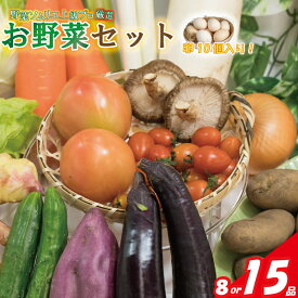 【ふるさと納税】 野菜セット 8品 または 15品（みかんたまご10個入り） 野菜ソムリエ上級プロ厳選 新鮮 野菜 詰め合わせ 卵 たまご 旬 季節の野菜 国産 家庭用 贈答 お取り寄せ 産地直送 サラダ 煮物 炒め物 常備野菜 グルメ 人気 おすすめ 送料無料 愛媛県 松山市