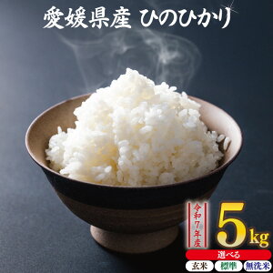 【ふるさと納税】 【選べる玄米・標準米・無洗米】 ひのひかり 約5kg | お米 愛媛県産米 ふるさと納税お米 こめ ご飯 ご飯のおとも ご飯 おにぎり 弁当 おこめ ごはん 飯 お取り寄せ 送料無料