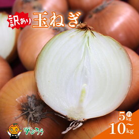 【ふるさと納税】 【選べる】 訳あり 玉ねぎ 5kg から 10kg 新玉ねぎ / もみじたまねぎ | たまねぎ タマネギ 玉ねぎ 新玉 新物 もみじ たまねぎ 新たまねぎ 新玉葱 もみじ玉ねぎ 野菜 常備野菜 食べ物 送料無料 愛媛県 松山市