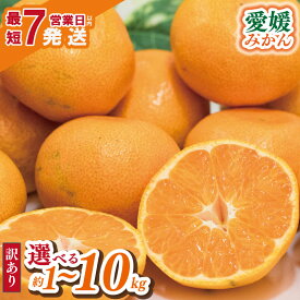 【ふるさと納税】 【選べる 内容量・発送時期】 訳あり みかん 1kg / 2kg / 5kg / 10kg | えひめみかん 温州みかん 極早生 くだもの フルーツ 蜜柑 ミカン mikan 柑橘 不揃い 傷 ワケアリ 訳アリ 家庭用 愛媛県産 お取り寄せ ふるさと納税みかん 愛媛県 松山市 送料無料