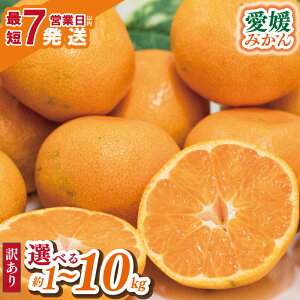 yӂ邳Ɣ[Łz yIׂ eʁEz 󂠂 ݂ 1kg / 5kg / 10kg | Ђ߂݂ B݂ ɑ  t[c  ~J mikan k s  PA A ƒp 