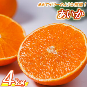 yӂ邳Ɣ[Łzyʌz  ݂  2kg / 3kg / 4kg 11{` 28 Qʎ28 g܂ǂ Ɠi ܂ǂ k k ݂ Yn t[c ʕ 