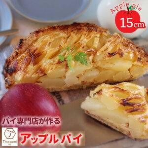 yӂ邳Ɣ[Łz pCX  lC AbvpC z[ a 15cm 45lb  Abv pC pCn Ăَq XC[c ̓ Mtg v[g  XC[c 