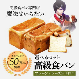 【ふるさと納税】 高級食パン プレーン レーズン 2斤×1本/2本 | 高級 食パン パン ごはん おやつ ベーカリー 朝食 ふんわり 家庭用 ギフト 愛媛県 松山市