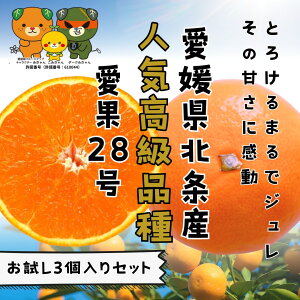 �y�ӂ邳�Ɣ[�Łz �y��s�\��z ����28�� ������3����Z�b�g �g�܂ǂ�� �Ɠ��i�� ���Y ���Q�݂��� ���Q���� ���Q�~�J�� �݂��� �~�J�� mikan ���� ���k �t���[�c �ʕ� �������� ������ 