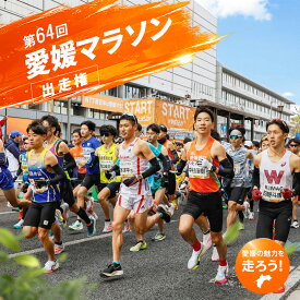 【ふるさと納税】 第64回愛媛マラソン出走権 1名様分｜マラソン 愛媛マラソン マラソン大会 マラソン出走権 フルマラソン 愛媛県 松山市