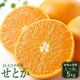 【ふるさと納税】 【入荷次第順次発送】 JAえひめ中央 せとか5kg 赤秀・青秀 いずれかL～3L 露地せとか セトカ 瀬戸香 みかん ミカン 蜜柑 果物 くだもの フルーツ 高級 贈答 ギフト 贈り物 柑橘 柑橘類 かんきつ 常温 国産 愛媛 愛媛県 松山市