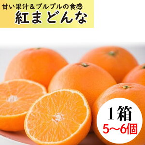 yӂ邳Ɣ[Łz g܂ǂ1i56j |  k t[c ܂ǂ ݂ Q ݂  tWEAOt[Y Q Rs