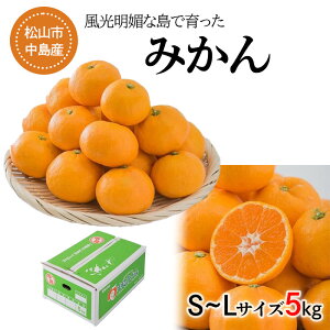 yӂ邳Ɣ[Łz y11{z Y ݂ S`L TCY 5kg i Y Q݂ Q Q~J ݂ ~J mikan  k t[c ʕ   Yn 