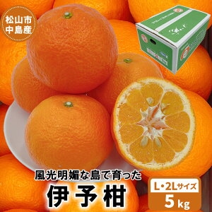 yӂ邳Ɣ[Łz y1{z RsY ɗ\ L2LTCY 5kg i Y Q݂ Q~J ݂ ~J mikan  k t[c ʕ   Yn 