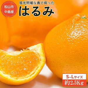 yӂ邳Ɣ[Łz 1{`RsY ͂ S`LTCY i2.5kgj