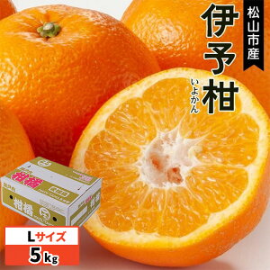 yӂ邳Ɣ[Łz 1{` RsY ɗ\ Gi Li5kgjQY Y Q݂ Q Q~J ݂ ~J mikan  k t[c ʕ   Yn