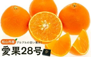 yӂ邳Ɣ[Łz11{` RsY 28 L`3L QY Y Q݂ Q Q~J ݂ ~J mikan  k t[c ʕ   Yn 