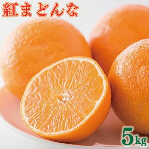 yӂ邳Ɣ[Łz y11{甭z g܂ǂ M ~4L 5kg [ƒp] i ݂ k t[c ܂ǂ ݂ Q ݂ ƒp g܂ǂ  g܂ǂ tWEAOt[Y j